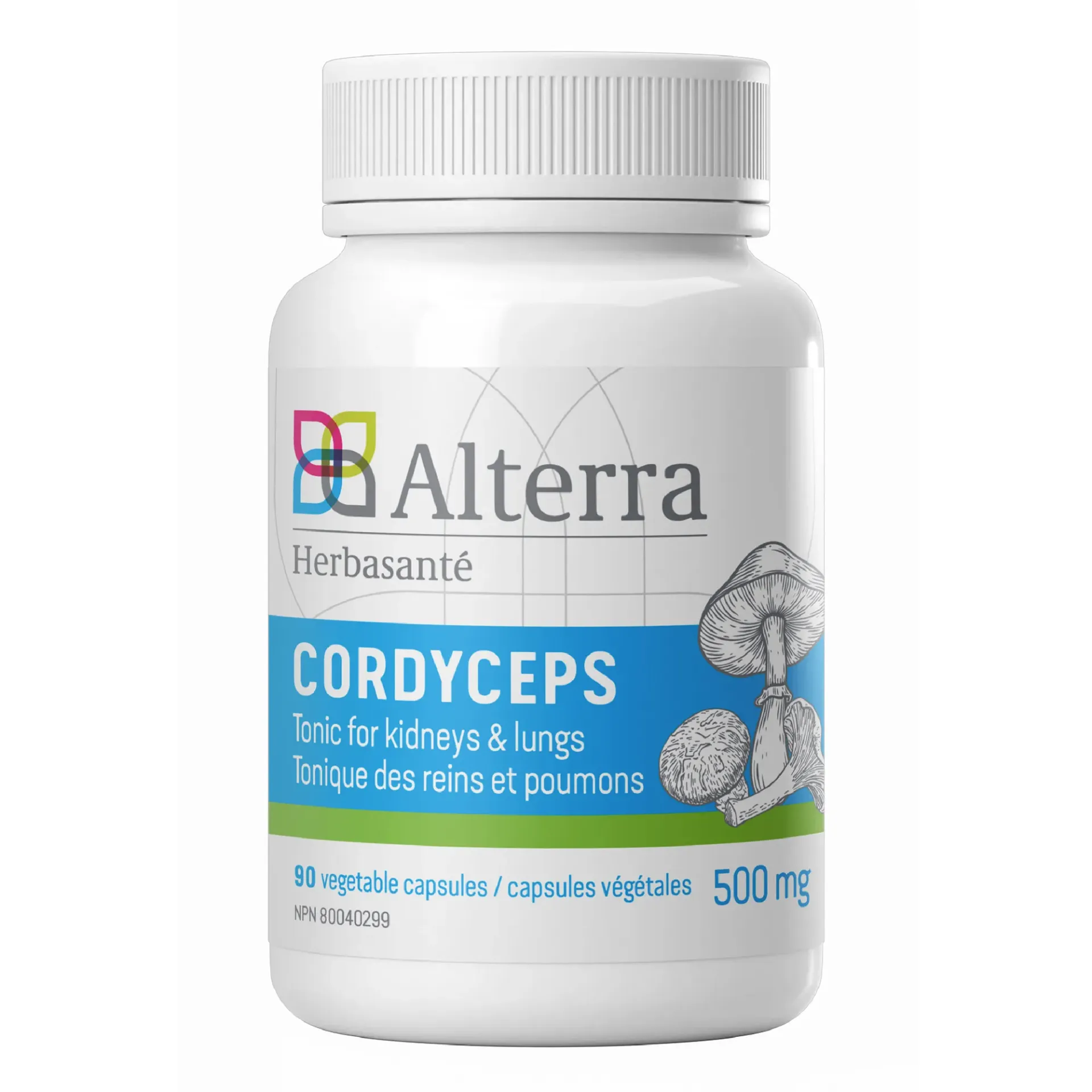 [KL315] Cordyceps