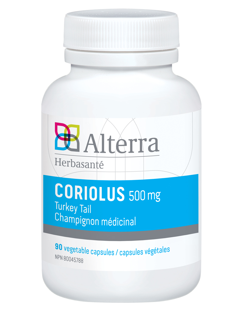 [KL285] Coriolus 500 mg