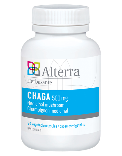 [KL300] Chaga 500mg